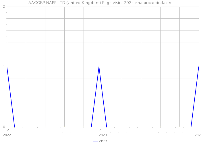 AACORP NAPP LTD (United Kingdom) Page visits 2024 