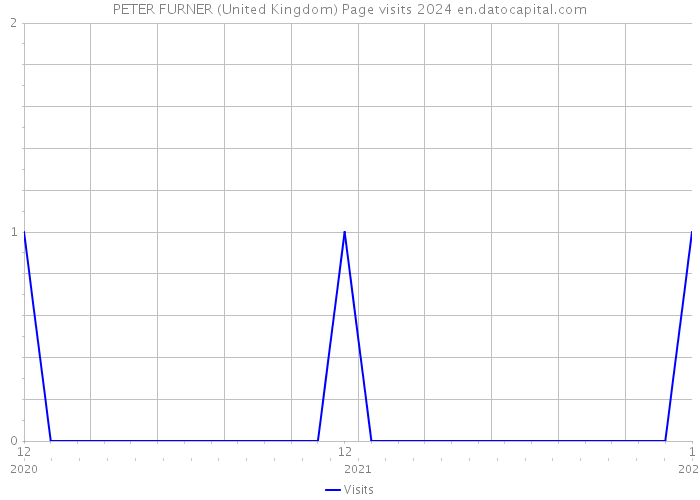 PETER FURNER (United Kingdom) Page visits 2024 