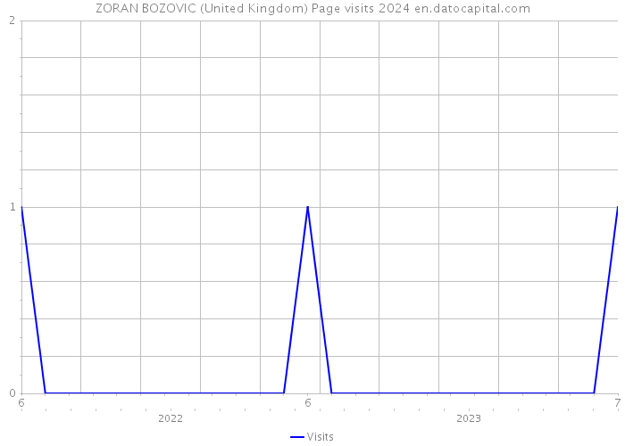 ZORAN BOZOVIC (United Kingdom) Page visits 2024 