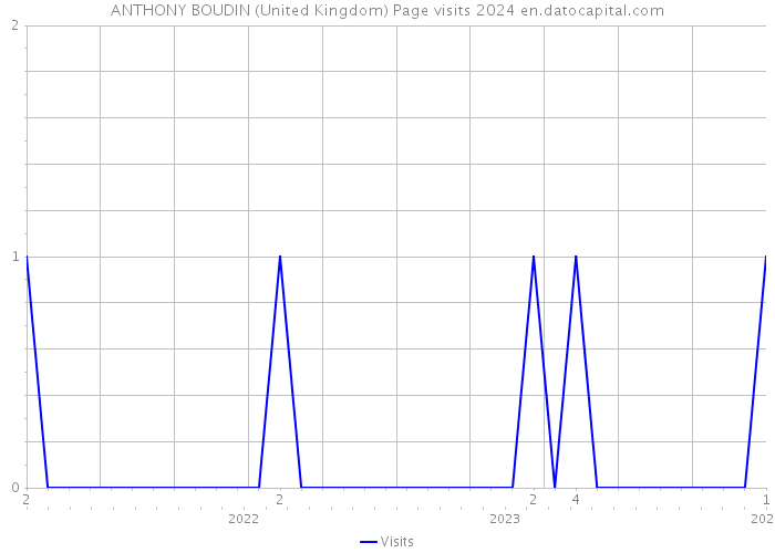 ANTHONY BOUDIN (United Kingdom) Page visits 2024 