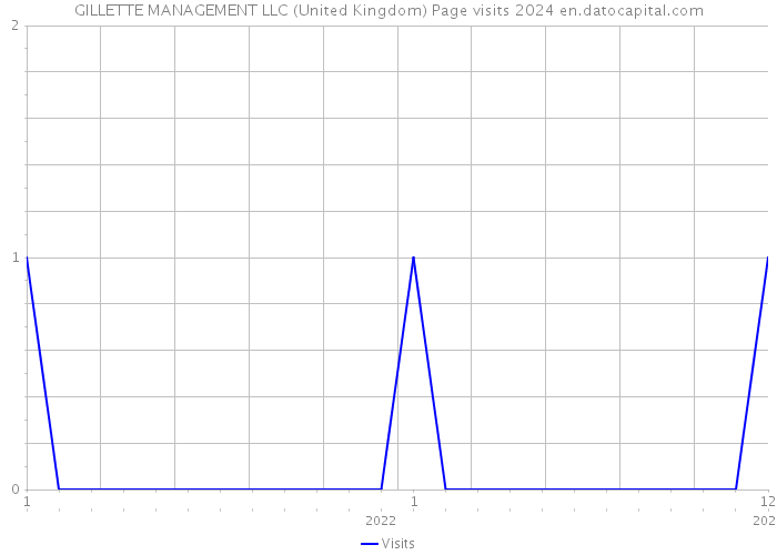 GILLETTE MANAGEMENT LLC (United Kingdom) Page visits 2024 