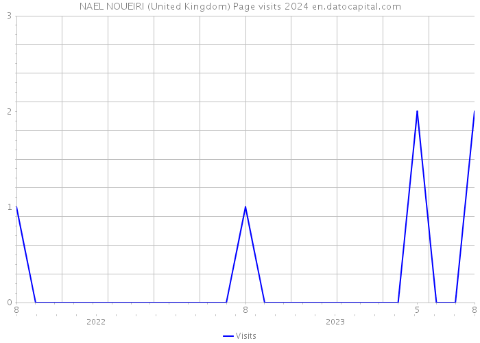 NAEL NOUEIRI (United Kingdom) Page visits 2024 