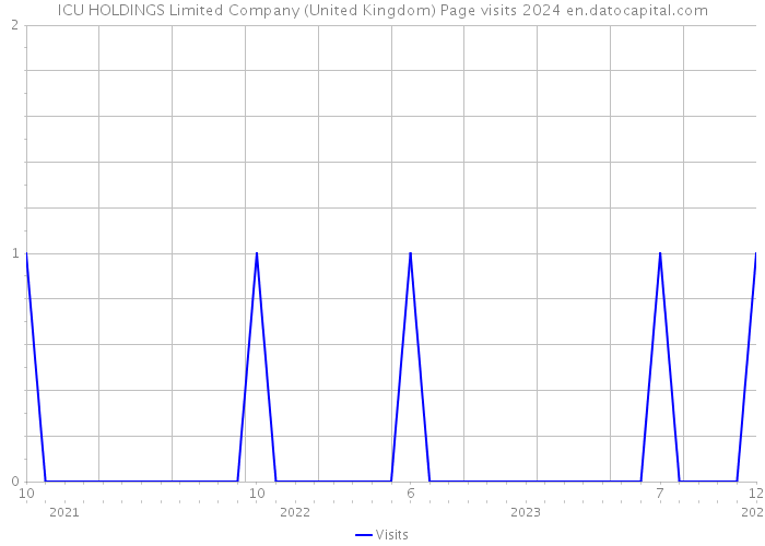 ICU HOLDINGS Limited Company (United Kingdom) Page visits 2024 