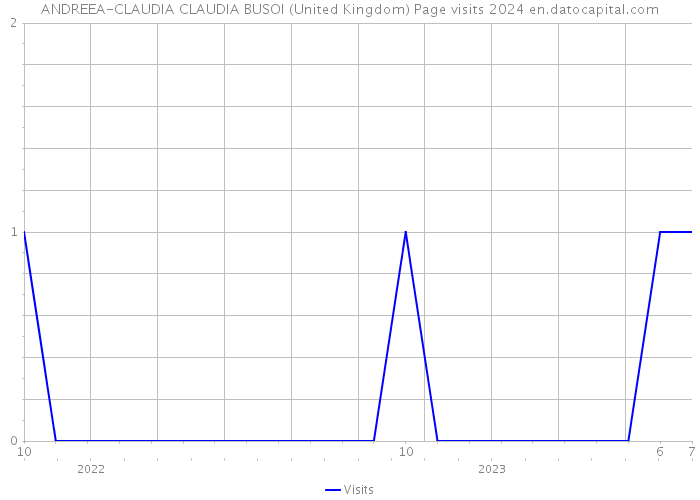 ANDREEA-CLAUDIA CLAUDIA BUSOI (United Kingdom) Page visits 2024 
