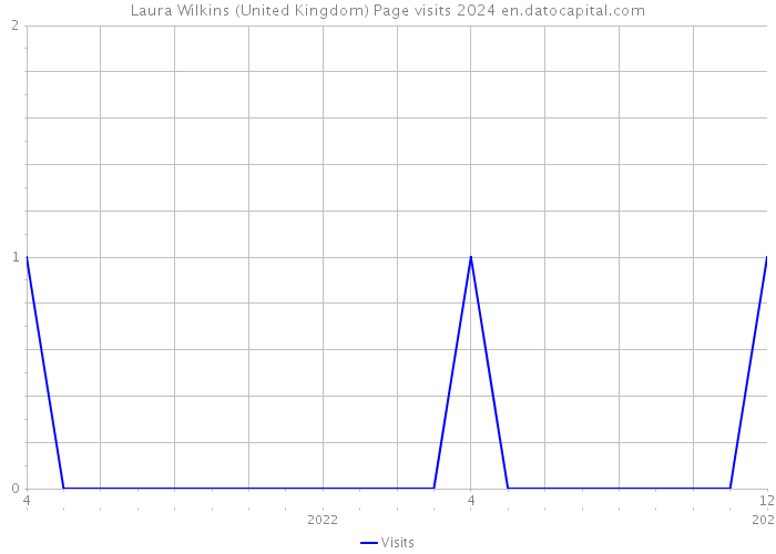 Laura Wilkins (United Kingdom) Page visits 2024 