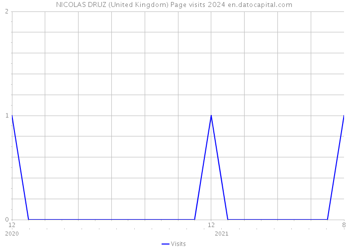 NICOLAS DRUZ (United Kingdom) Page visits 2024 