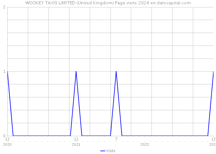 WOOKEY TAXIS LIMITED (United Kingdom) Page visits 2024 
