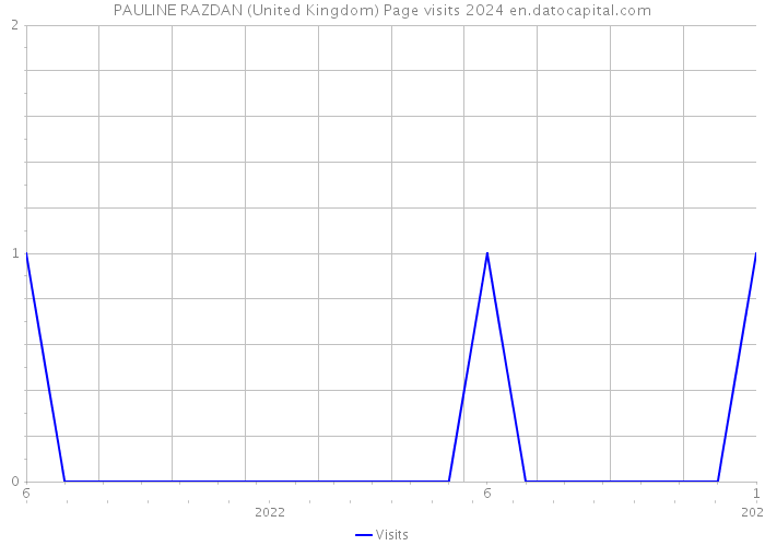 PAULINE RAZDAN (United Kingdom) Page visits 2024 