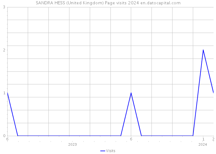 SANDRA HESS (United Kingdom) Page visits 2024 