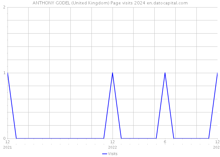ANTHONY GODEL (United Kingdom) Page visits 2024 