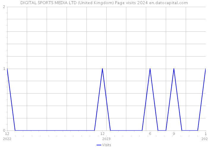 DIGITAL SPORTS MEDIA LTD (United Kingdom) Page visits 2024 