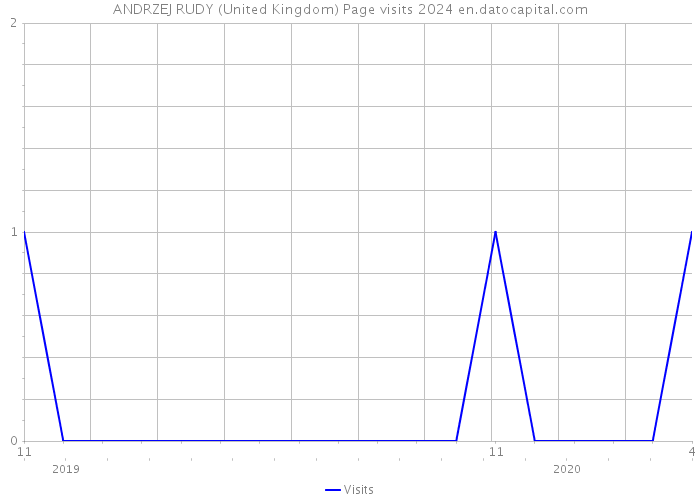 ANDRZEJ RUDY (United Kingdom) Page visits 2024 