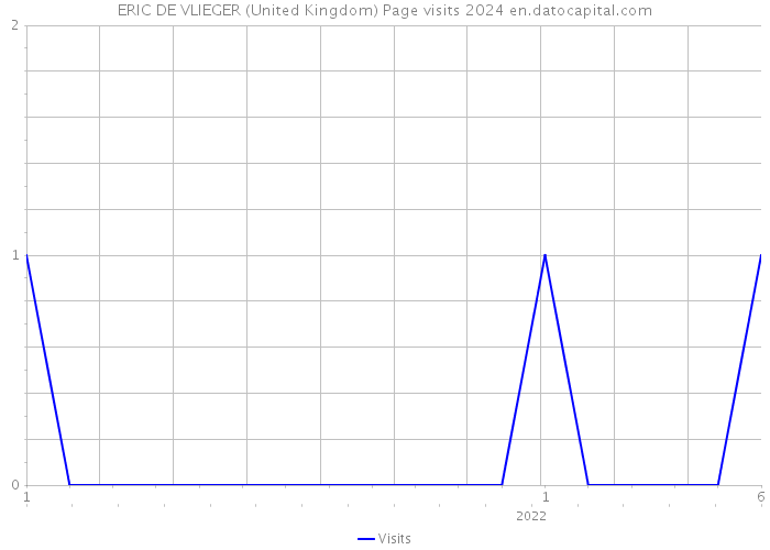 ERIC DE VLIEGER (United Kingdom) Page visits 2024 