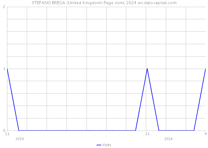 STEFANO BREGA (United Kingdom) Page visits 2024 