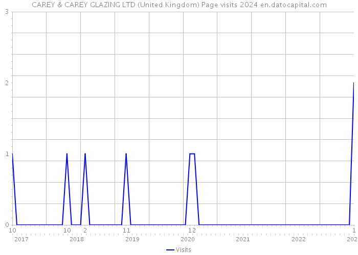 CAREY & CAREY GLAZING LTD (United Kingdom) Page visits 2024 
