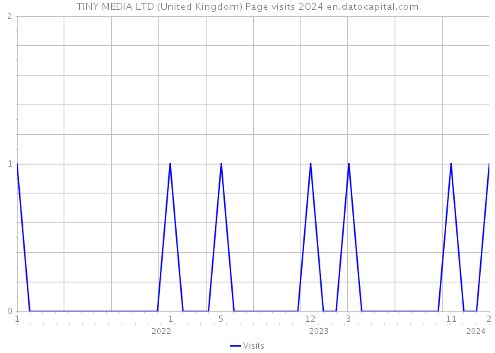 TINY MEDIA LTD (United Kingdom) Page visits 2024 