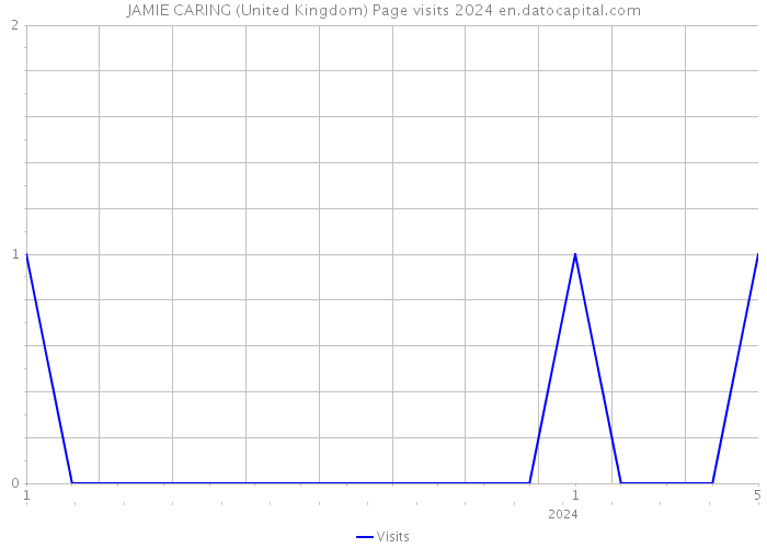 JAMIE CARING (United Kingdom) Page visits 2024 