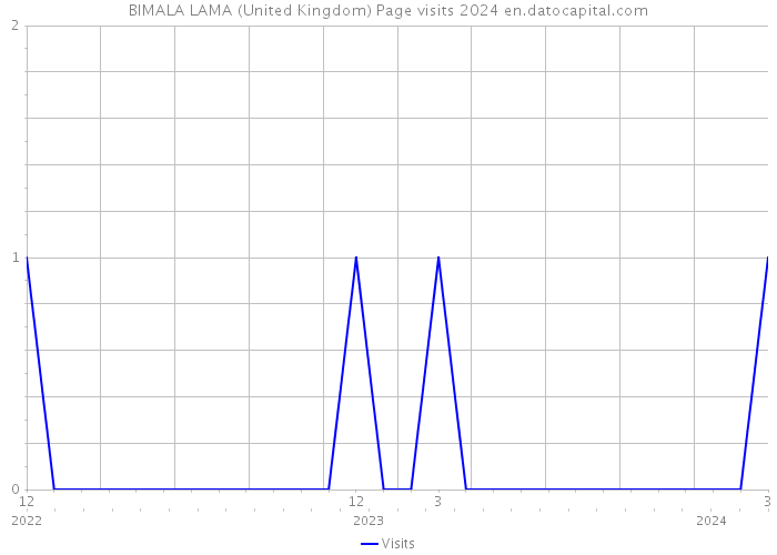 BIMALA LAMA (United Kingdom) Page visits 2024 