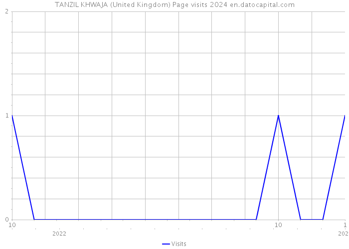 TANZIL KHWAJA (United Kingdom) Page visits 2024 