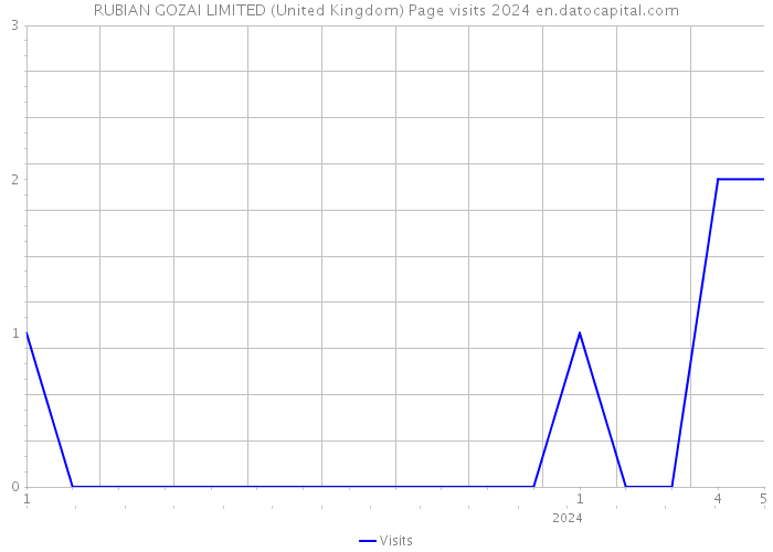 RUBIAN GOZAI LIMITED (United Kingdom) Page visits 2024 