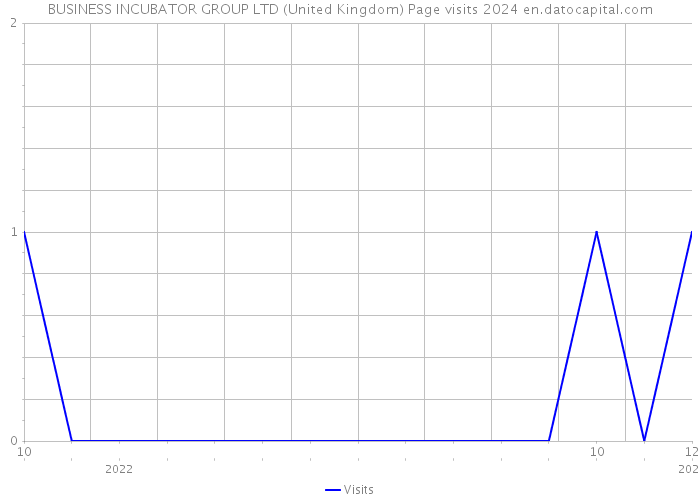 BUSINESS INCUBATOR GROUP LTD (United Kingdom) Page visits 2024 