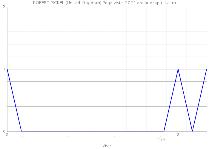 ROBERT PICKEL (United Kingdom) Page visits 2024 