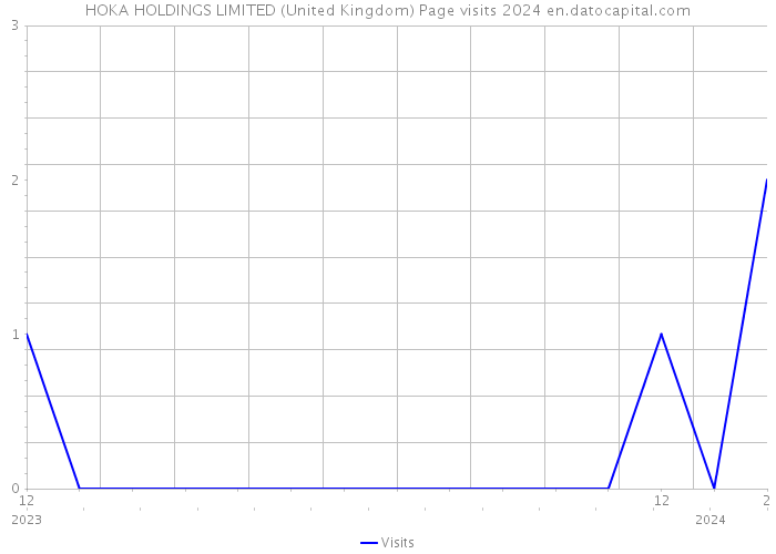 HOKA HOLDINGS LIMITED (United Kingdom) Page visits 2024 