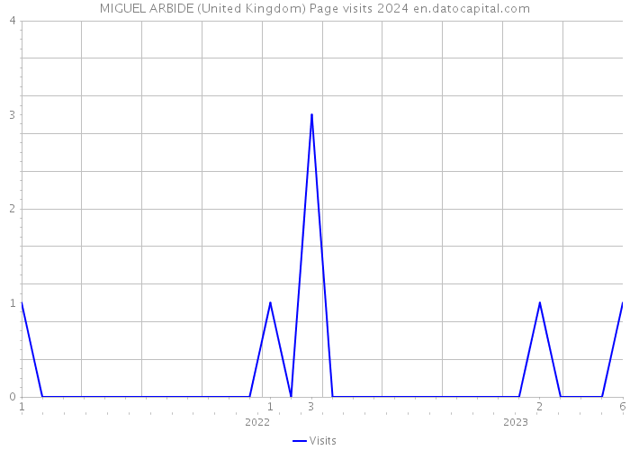 MIGUEL ARBIDE (United Kingdom) Page visits 2024 