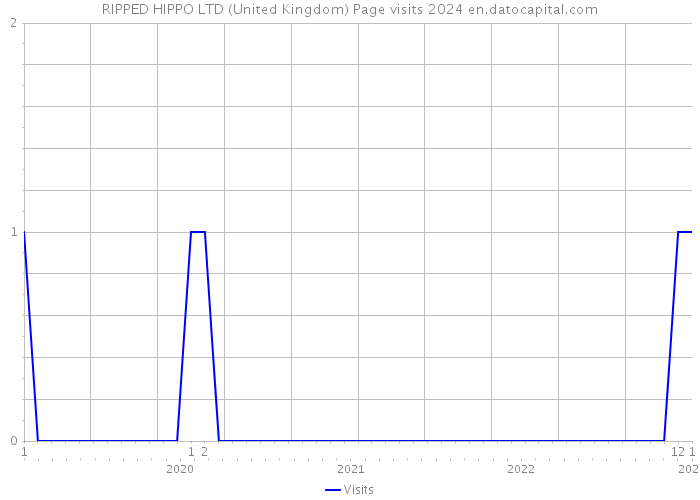 RIPPED HIPPO LTD (United Kingdom) Page visits 2024 