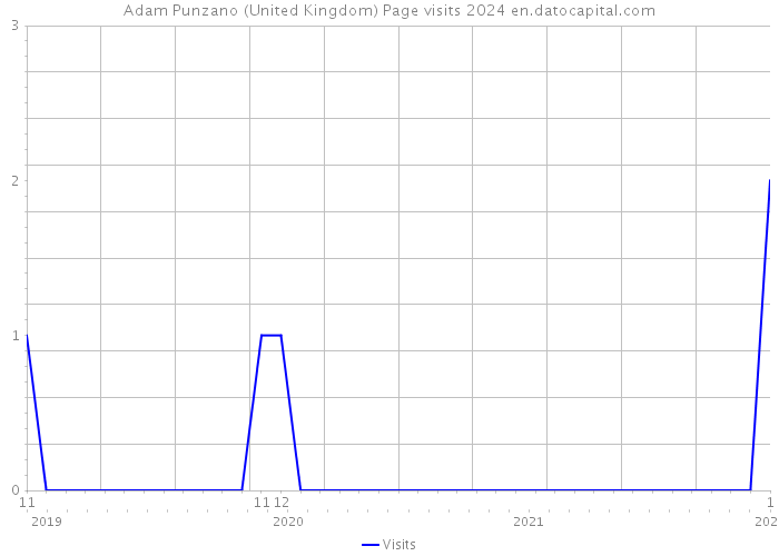 Adam Punzano (United Kingdom) Page visits 2024 