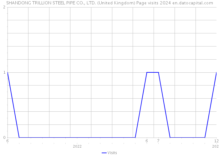 SHANDONG TRILLION STEEL PIPE CO., LTD. (United Kingdom) Page visits 2024 