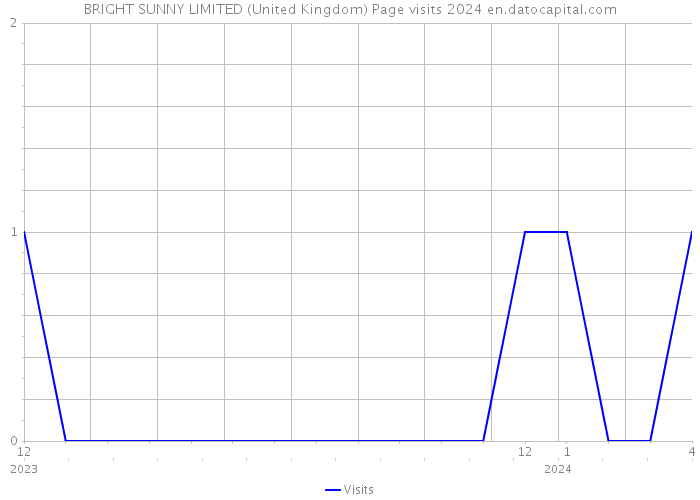BRIGHT SUNNY LIMITED (United Kingdom) Page visits 2024 