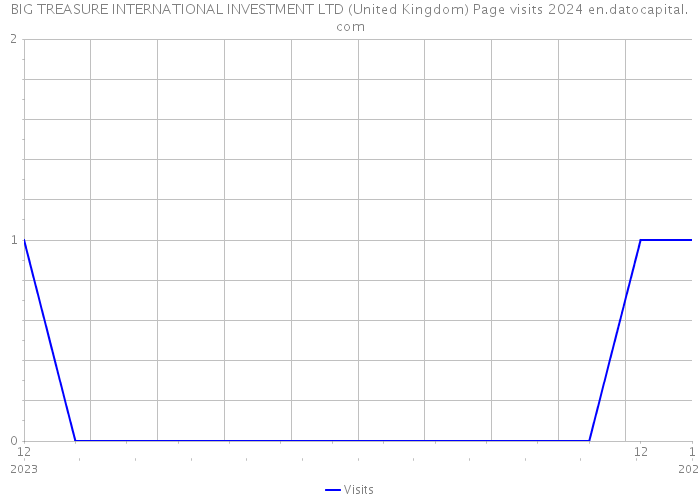 BIG TREASURE INTERNATIONAL INVESTMENT LTD (United Kingdom) Page visits 2024 