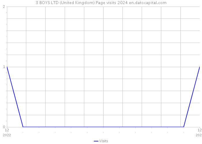 3 BOYS LTD (United Kingdom) Page visits 2024 