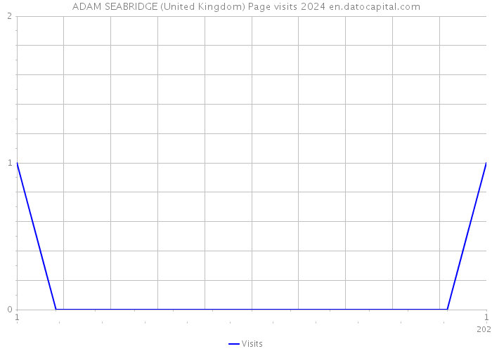 ADAM SEABRIDGE (United Kingdom) Page visits 2024 
