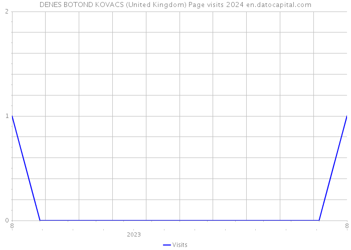 DENES BOTOND KOVACS (United Kingdom) Page visits 2024 