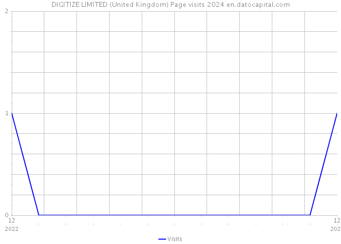 DIGITIZE LIMITED (United Kingdom) Page visits 2024 