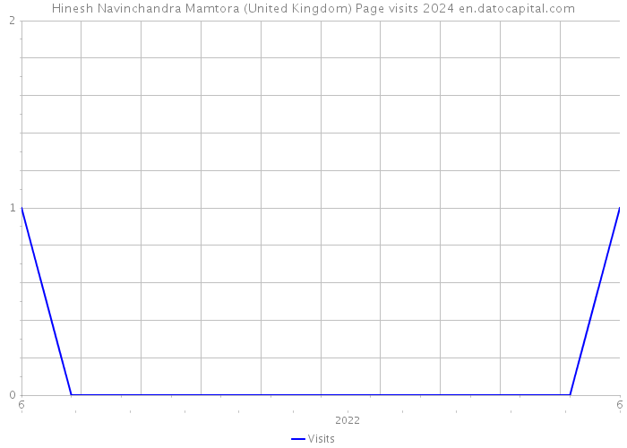 Hinesh Navinchandra Mamtora (United Kingdom) Page visits 2024 