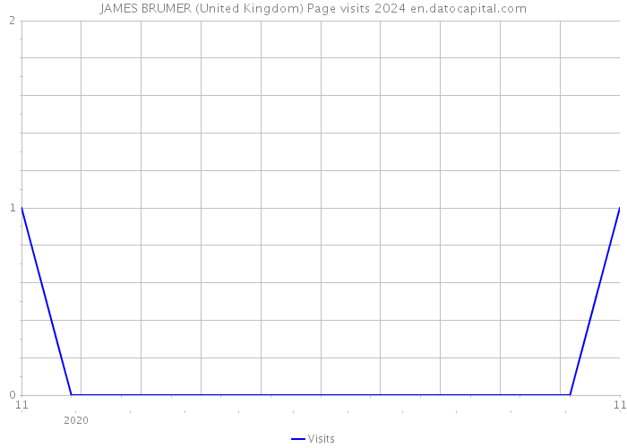 JAMES BRUMER (United Kingdom) Page visits 2024 