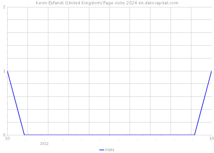 Kevin Esfandi (United Kingdom) Page visits 2024 