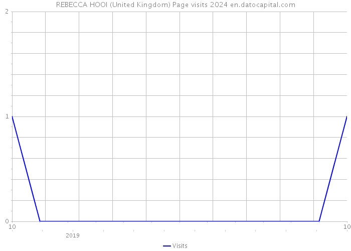REBECCA HOOI (United Kingdom) Page visits 2024 