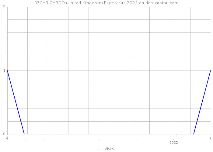 RZGAR CARDO (United Kingdom) Page visits 2024 