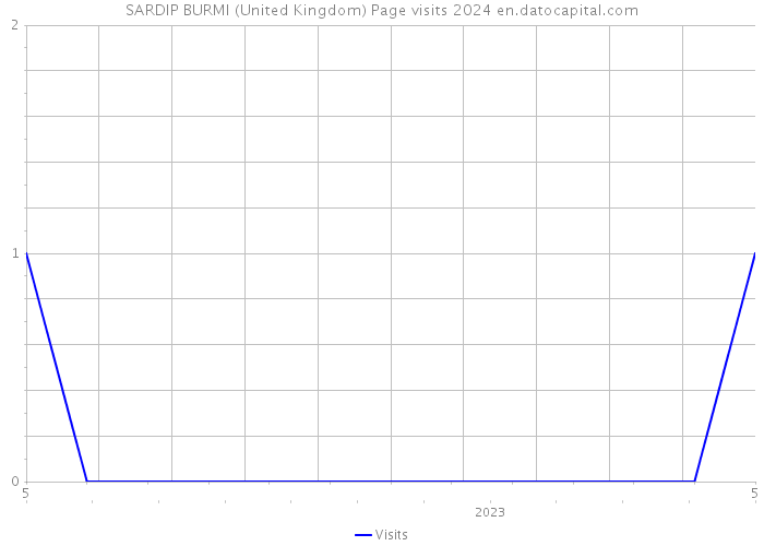 SARDIP BURMI (United Kingdom) Page visits 2024 