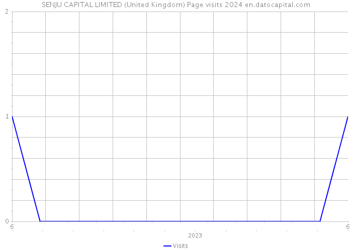 SENJU CAPITAL LIMITED (United Kingdom) Page visits 2024 