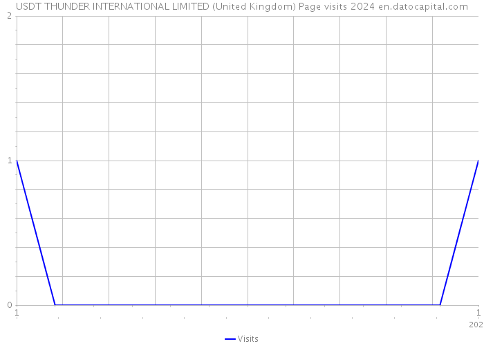 USDT THUNDER INTERNATIONAL LIMITED (United Kingdom) Page visits 2024 