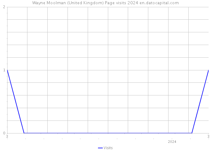 Wayne Moolman (United Kingdom) Page visits 2024 