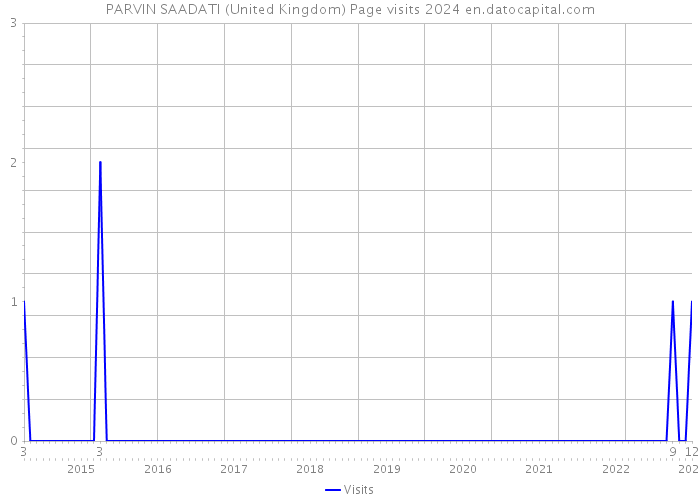 PARVIN SAADATI (United Kingdom) Page visits 2024 