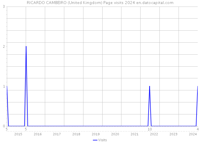 RICARDO CAMBEIRO (United Kingdom) Page visits 2024 