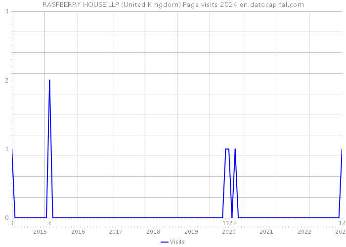 RASPBERRY HOUSE LLP (United Kingdom) Page visits 2024 