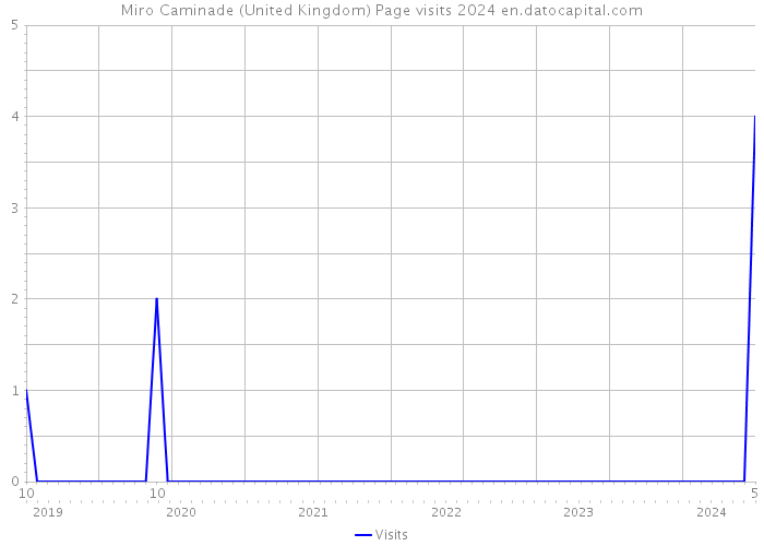 Miro Caminade (United Kingdom) Page visits 2024 